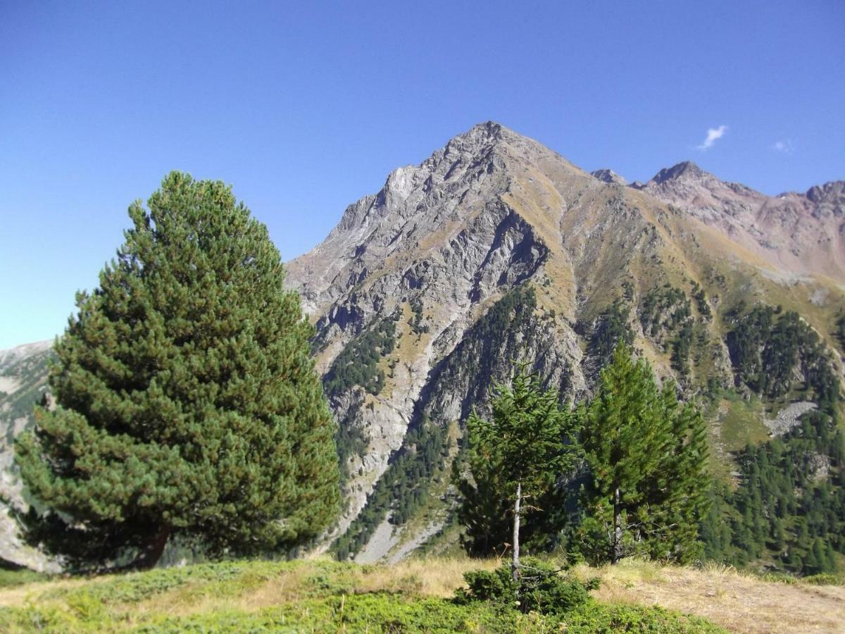 Maison Grivon Appartamento Becca Di Nona Aosta Dış mekan fotoğraf